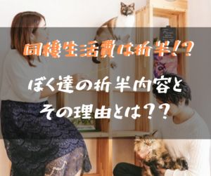 ぼくが同棲生活の生活費を折半にする理由とは 折半する範囲も紹介