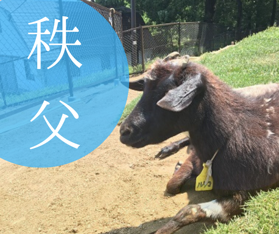 秩父高原牧場でデートしてみた ソフトクリームやヤギが最高すぎる 秩父高原牧場でデートしてみた ソフトクリームやヤギが最高すぎる